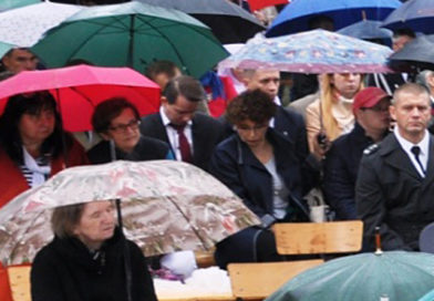 Udział polskiej wsi w walce o niepodległość Polski Udział polskiej wsi w walce o niepodległość Polski